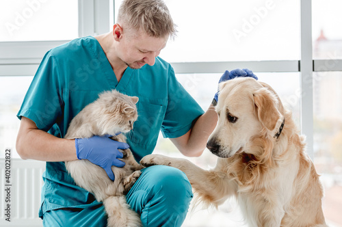 Photography Vet with dog and cat in clinic