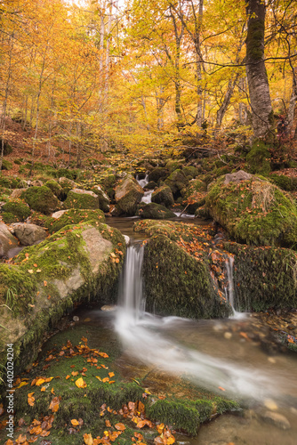 Fototapeta Naklejka Na Ścianę i Meble -  Amanecer en montes y hayedos en otoño