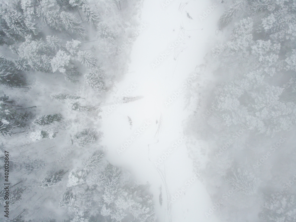 Winter landscape with forest river and snowy trees, aerial view Winter landscape with forest river and snowy trees, aerial view