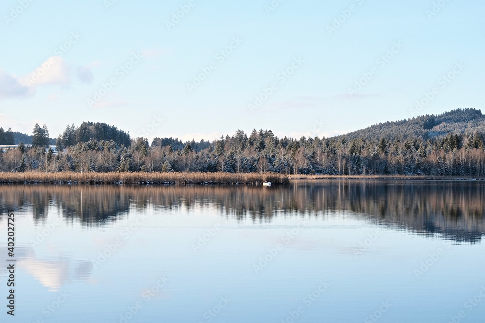 Fototapeta premium Angler im Ruderboot 