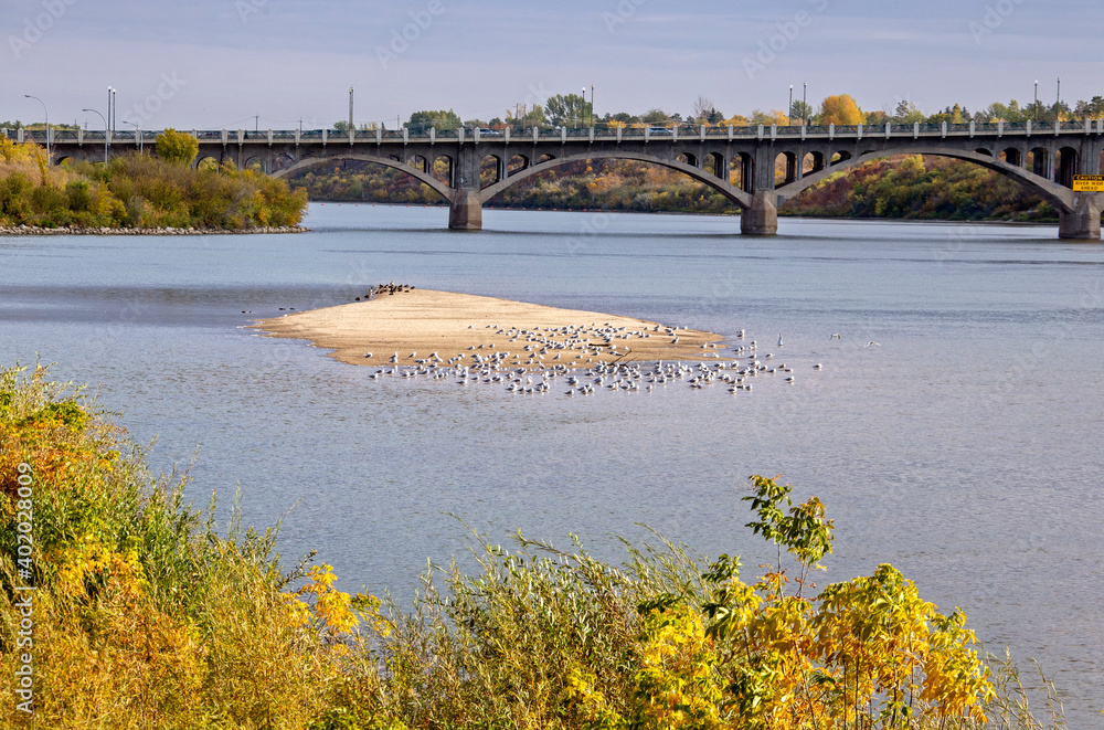 Obraz premium North Saskatchewan River Saskatoon