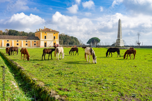 Italy, Campania , Carditello, Borbonica Real Palace photo