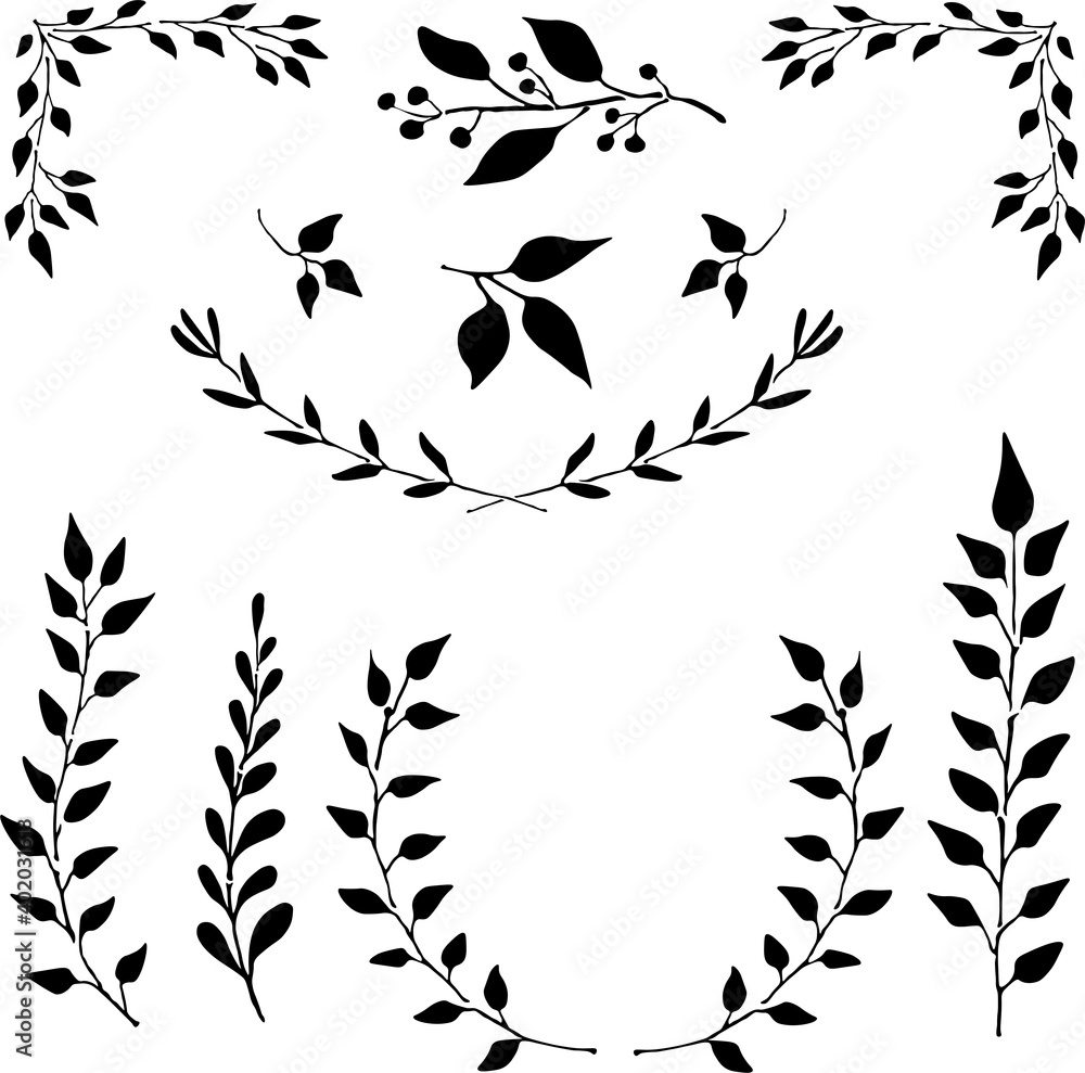 Fototapeta premium Plant ornaments, vector