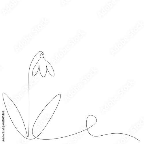 Snowdrop flower line drawing on white background, vector illustration