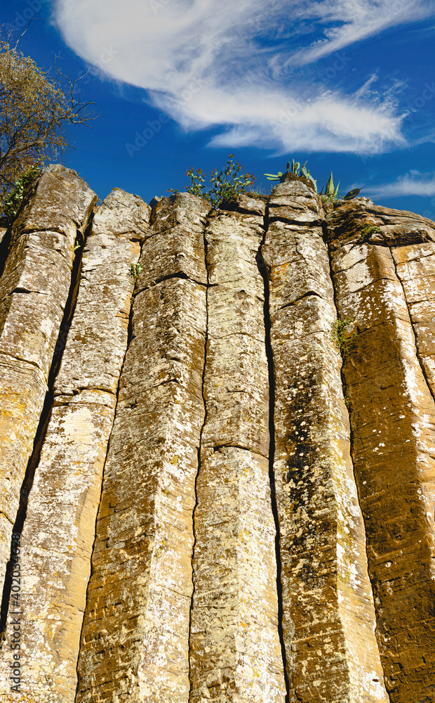 Fototapeta premium Basalt columns photographed from below with bushes and cacti on the edge of the cliff