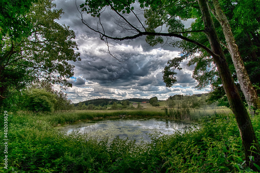 Fototapeta premium teich