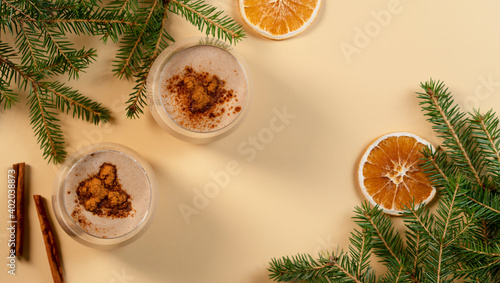 Traditional winter cocktail Eggnog with egg, milk, sugar, cinnamon and nutmeg photo