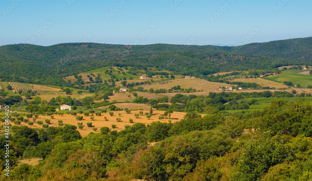The late summer landscape near Scansano, Grosseto Province, Tuscany, Italy
