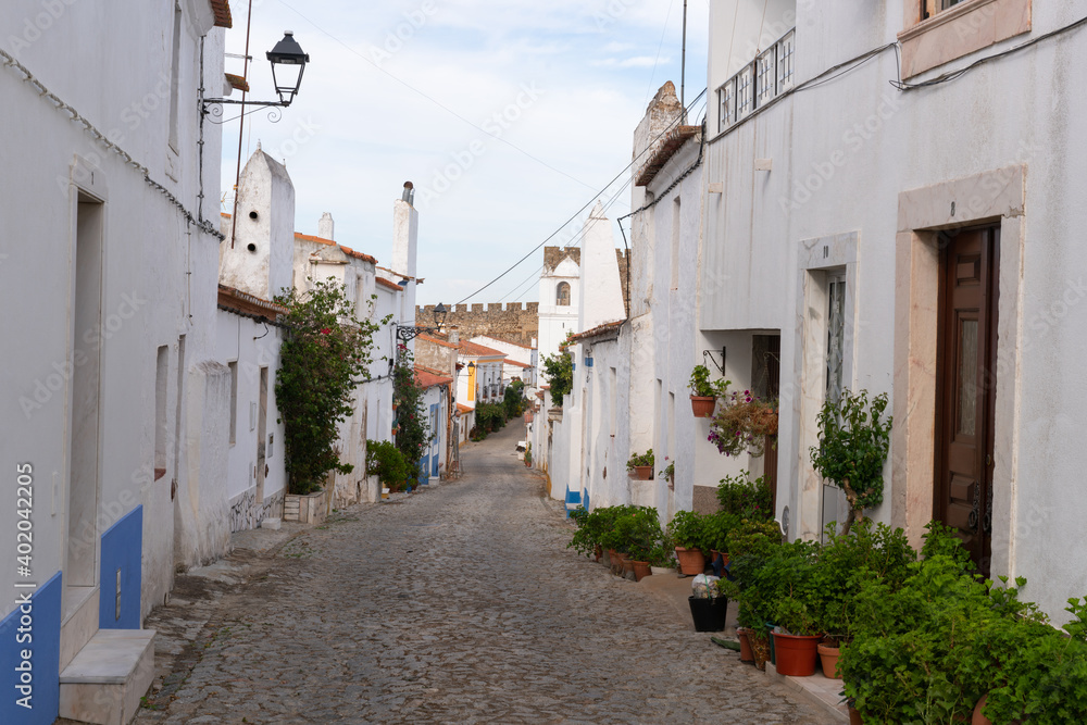 Traditional houses and castle  on the Alentejo village of Terena, in Portugal