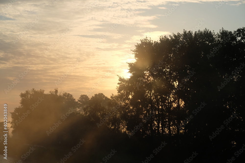 Naklejka premium Nebel Drömling