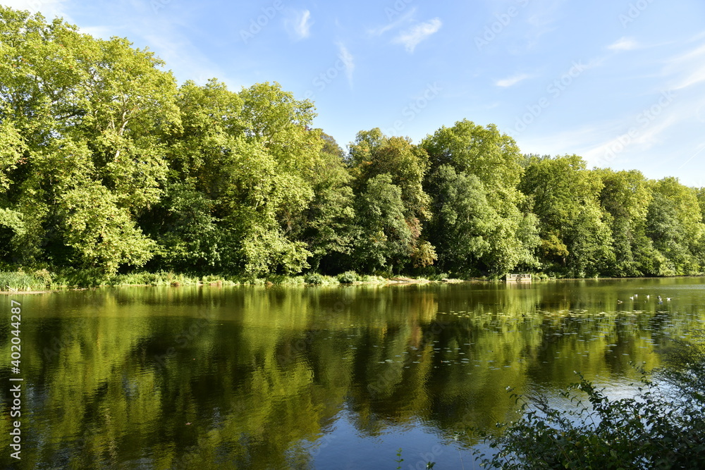 Reflet majestueux des arbres au Grand Canal du parc d'Enghien en Hainaut 