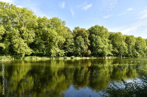 Reflet majestueux des arbres au Grand Canal du parc d'Enghien en Hainaut 