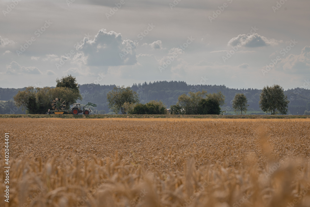 Fototapeta premium Feld mit Traktor