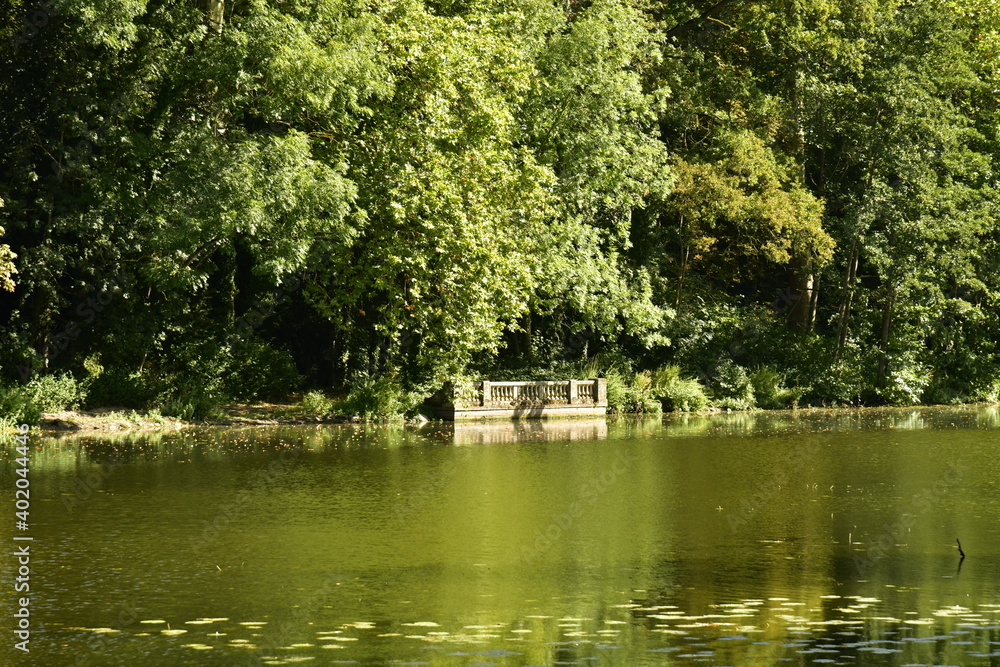 Rambarde rustique sous la végétation luxuriante du Grand Canal au parc d'Enghien en Hainaut