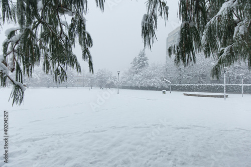 Milan, Italy - December 28, 2020: street view of Milan during the snow blizzard of late December, people are visible in the distance. photo