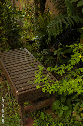 wood bench in the garden