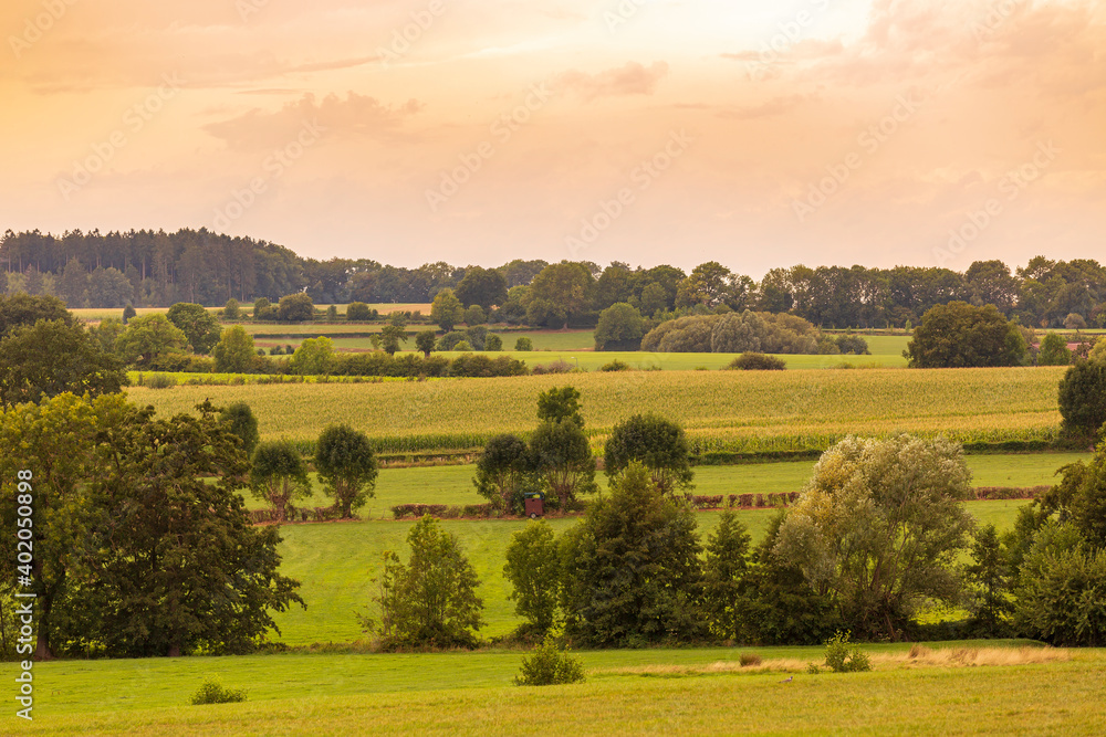 Best of Limburg landscape, beautiful green scenery Best of Limburg landscape, beautiful green scenery