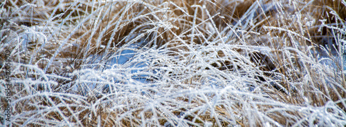 A panoramic shot of frozen grass on a cold winter day
na photo