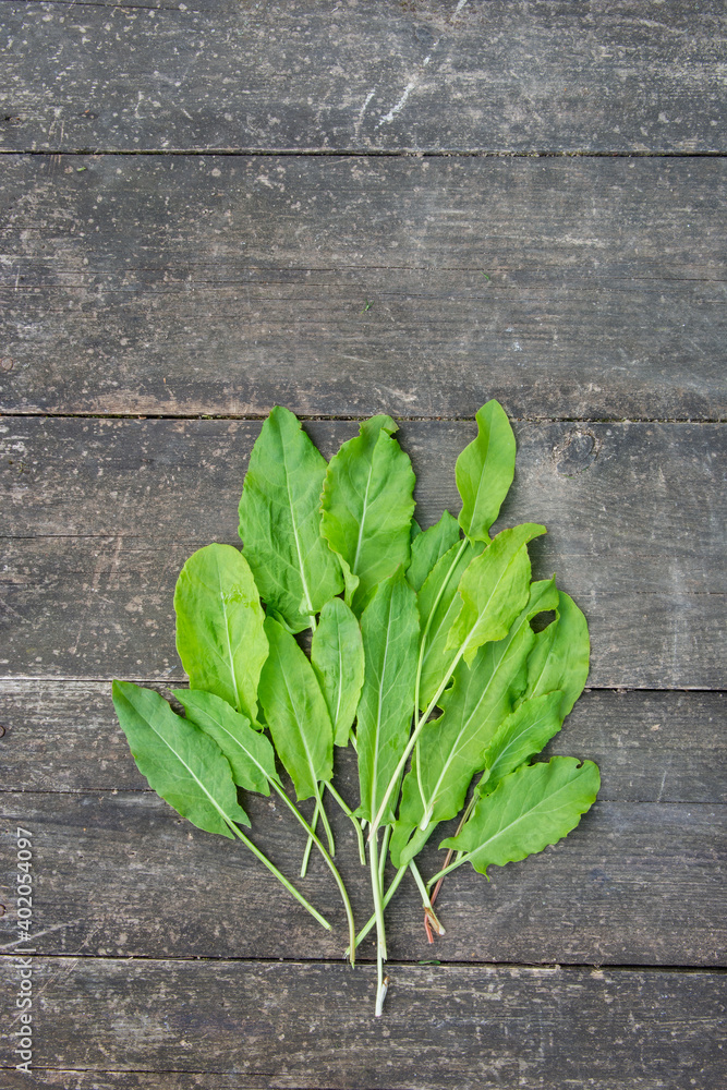 Sorrel leaves on an old wooden table. Flat lay. Sorrel leaves on an old wooden table. Flat lay.