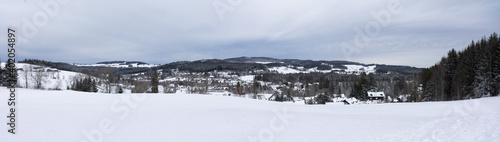 Fototapeta Naklejka Na Ścianę i Meble -  Panorama Hinterzarten im Schwarzwald mit Schnee