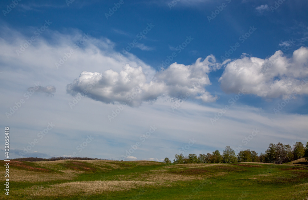 Summer, sunny day Hilly area with sparse trees Scenic clouds Plenty of free space to paste. Can serve as a background.