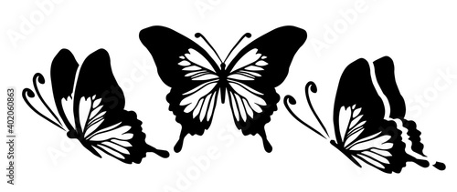 Graphic flying black and white butterflies. Vector illustration. Tropical butterfly on a white background
