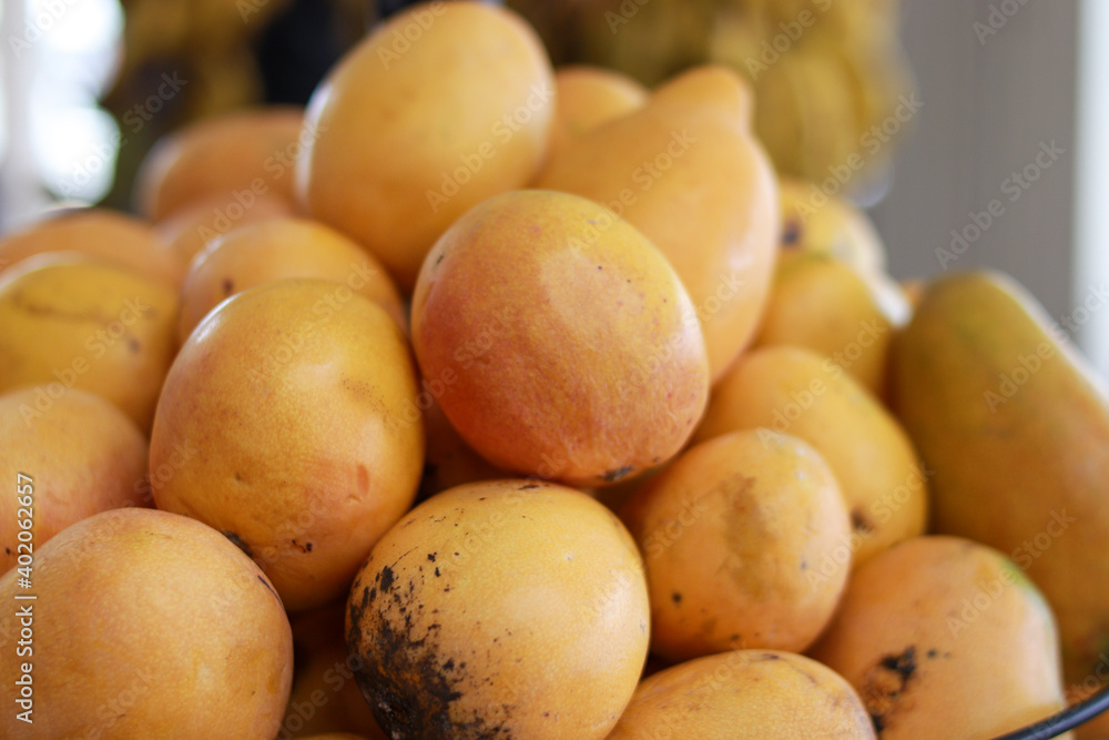 mangos, canasta de mango frescos, mangos amarillos, frutas tropicales del campo, mercado de mangos mangos, canasta de mango frescos, mangos amarillos, frutas tropicales del campo, mercado de mangos
