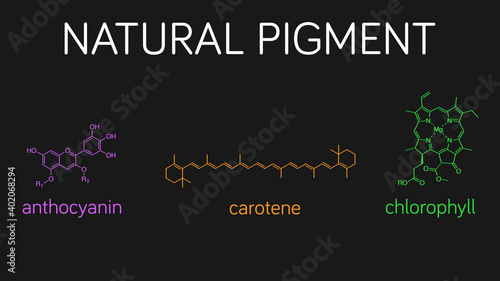 Illustration of natural pigment molecules: anthocyanin, carotene, and chlorophyll.