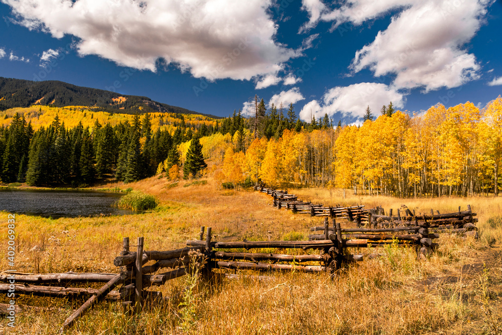 autumn landscape with fence