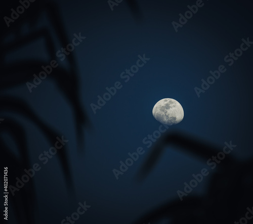 full moon over blue sky