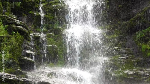 Wallpaper Mural Water flowing from a waterfall through forest nature in the Czech Republic. Torontodigital.ca