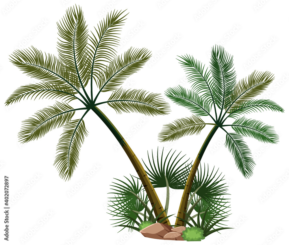 Obraz premium Two palm trees with nature elements on white background