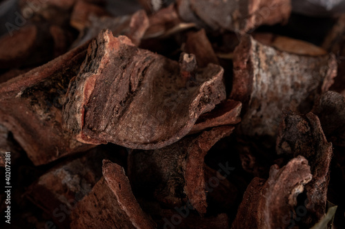 Textura de diversas plantas y hierbas secas 