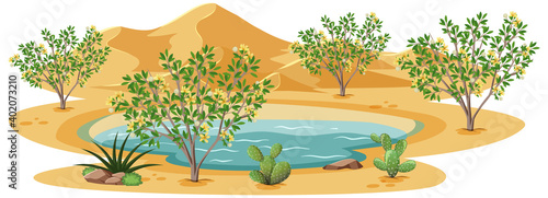 Creosote Bush plant in wild desert on white background