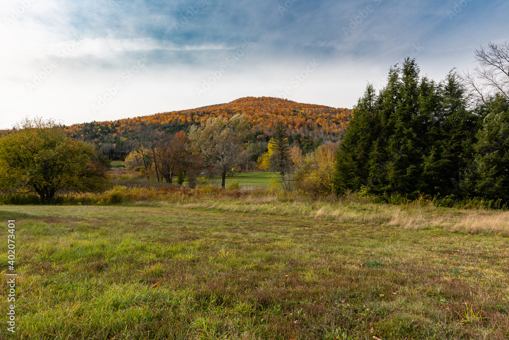 Fototapeta premium Autumn scenery 