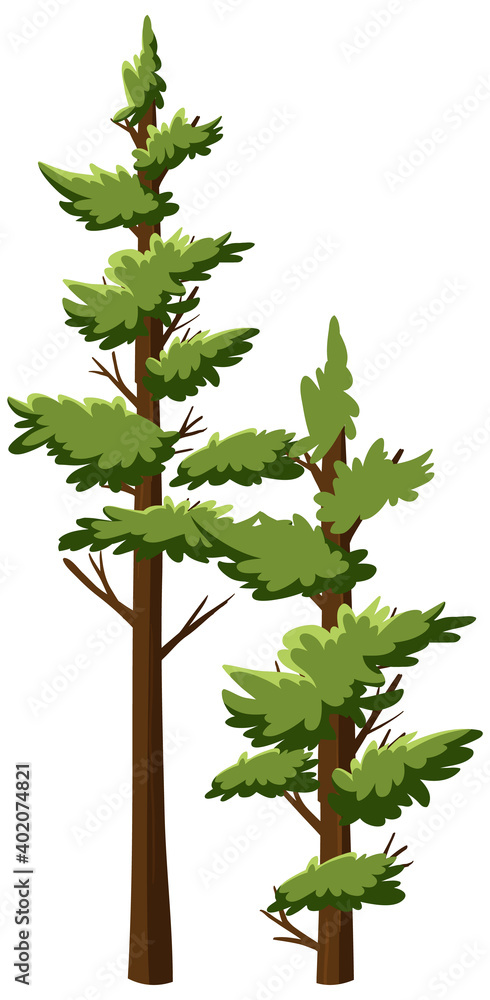 Isolated tree on white background Isolated tree on white background