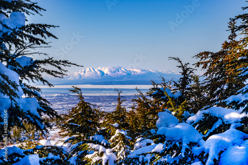 Winter landscape of  snow-covered mountain (Mount Susitna) in the distance, snow covered spruce trees of Chugach National Forest in the foreground and Anchorage, Alaska in the center of the picture.