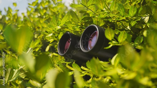 Binoculars among leaves. Observation equipment. Concept of spying technology.