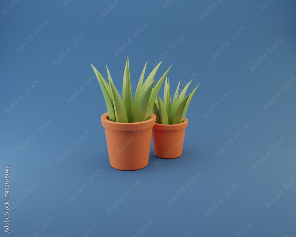 plant in a pot plant in a pot