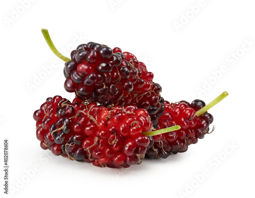 Organic mulberry fruits isolated on white background.