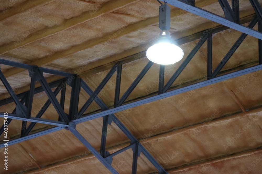 Obraz premium the roof of the building