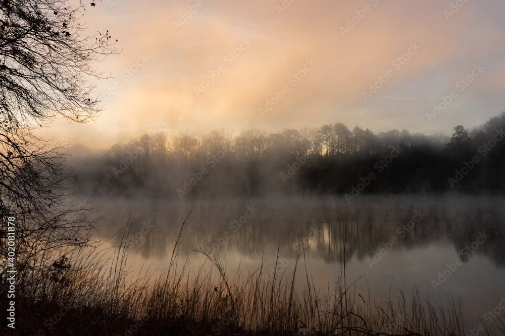 Fototapeta premium Fog rises on the surface of the water at dawn in winter framed by trees and grasses on Lake Lanier in Georgia
