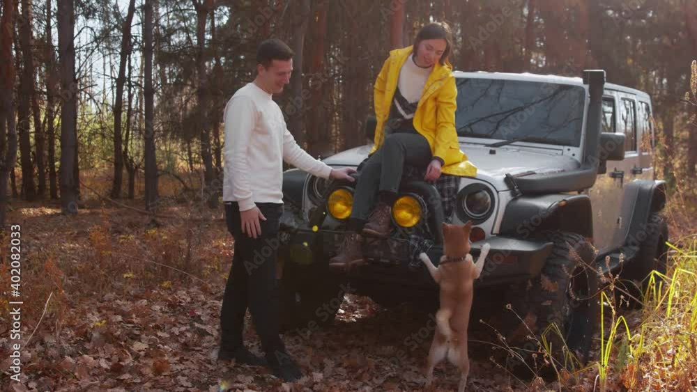Young woman in yellow jacket sits on car and feeds her little dog in autumn forest Young woman in yellow jacket sits on car and feeds her little dog in autumn forest