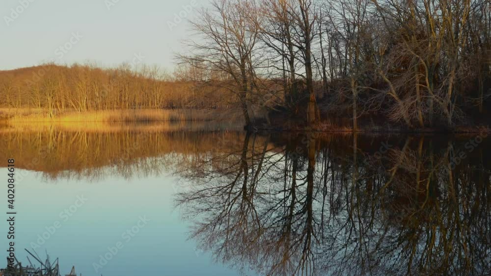 Reflection of trees sunset Reflection of trees sunset
