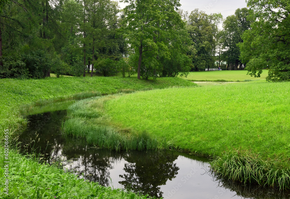 A stream in a summer Park. Picturesque green banks covered with grass and trees