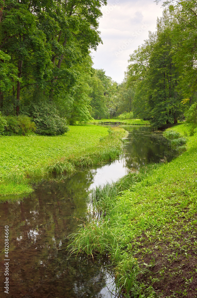 A stream in a summer Park. Picturesque green banks covered with grass and trees A stream in a summer Park. Picturesque green banks covered with grass and trees