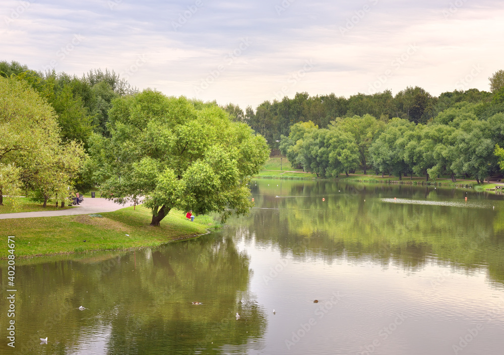 Pond in the summer Park. Picturesque green banks covered with grass and trees Pond in the summer Park. Picturesque green banks covered with grass and trees