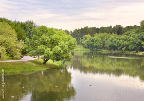 Fototapeta Naklejka Na Ścianę i Meble -  Pond in the summer Park. Picturesque green banks covered with grass and trees