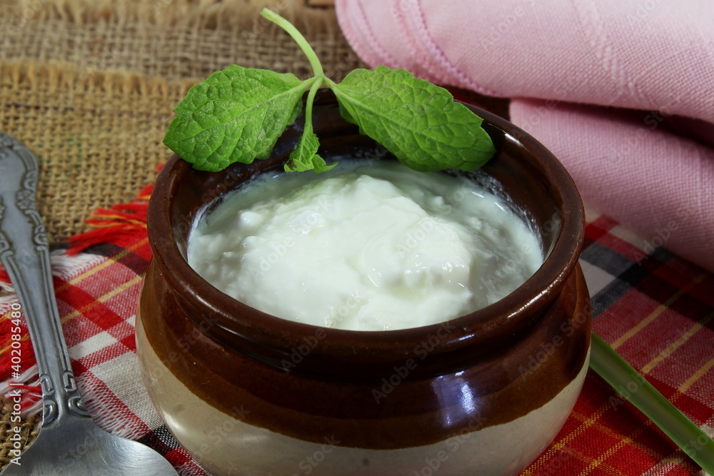 homemade indian dahi or curd,yogurt,sour cream in pot with spoon isolated homemade indian dahi or curd,yogurt,sour cream in pot with spoon isolated