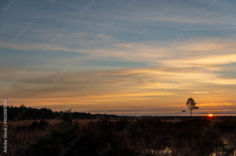 Wetlands Sunrise with Single Tree at Right
